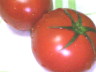 tomato.jpg